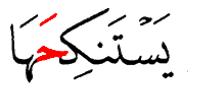 يستنكحها