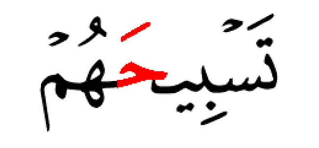 تسبيحهم