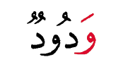 ودود