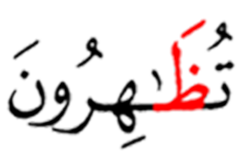 تظاهرون