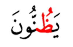 يظنون