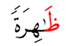 ظاهره